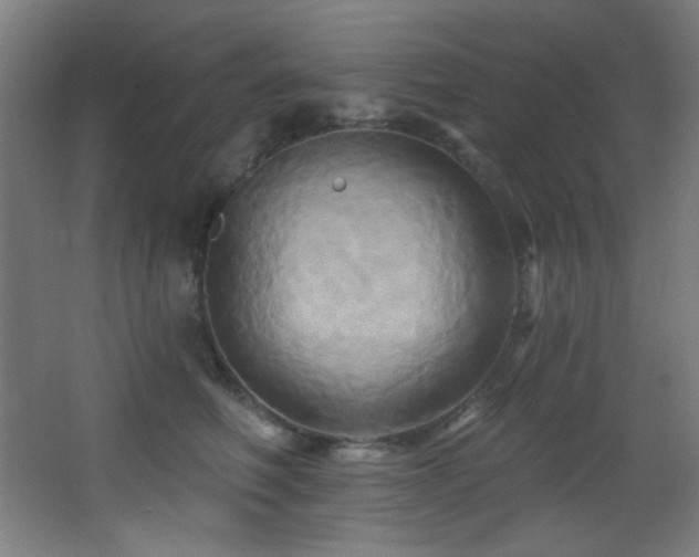 X0000068320614200604211207