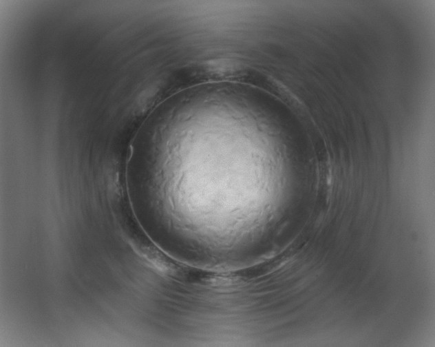 X0000068320615200604211207