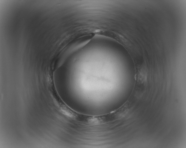 X0000068320616200604211207