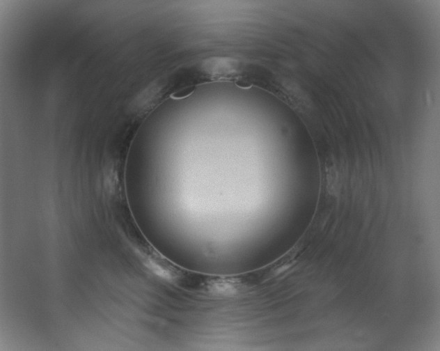 X0000068320618200604211207