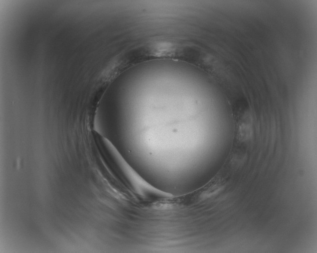 X0000068320620200604211207