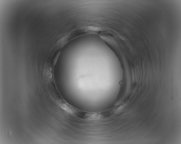 X0000068320621200604211207