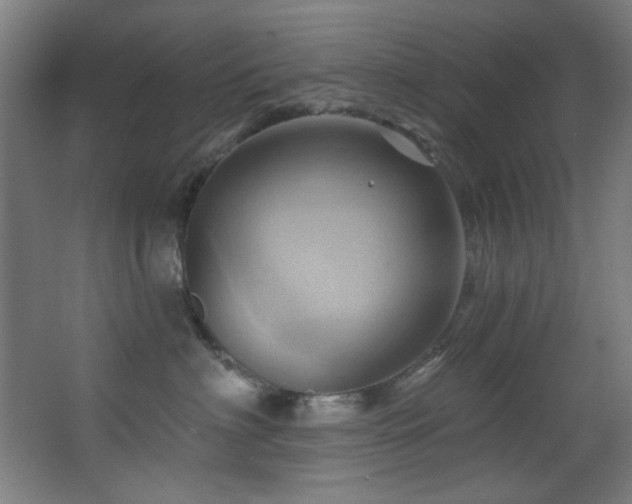 X0000068320622200604211207