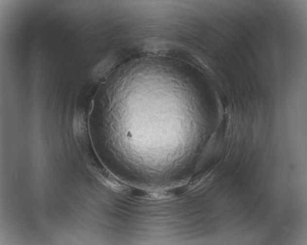 X0000068320623200604211207