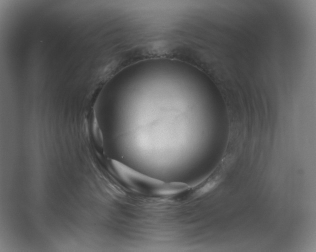X0000068320624200604211207