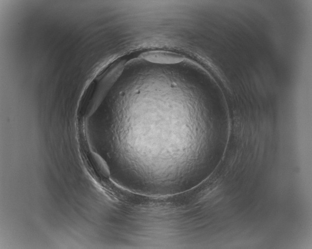 X0000068320626200604211206