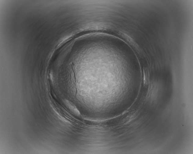 X0000068320627200604211206