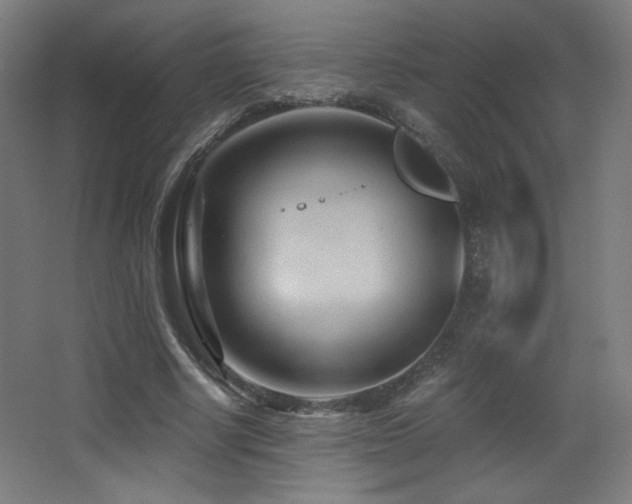 X0000068320634200604211206