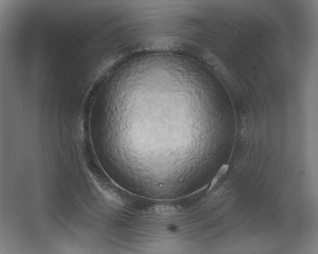 X0000068320636200604211206