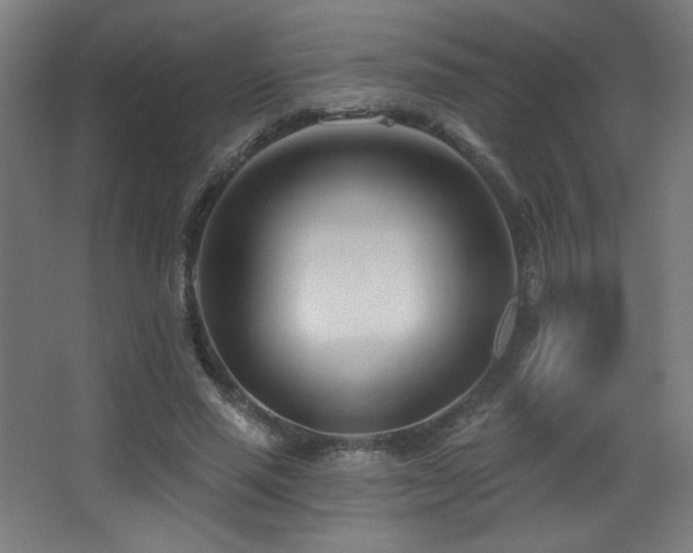 X0000068320637200604211206