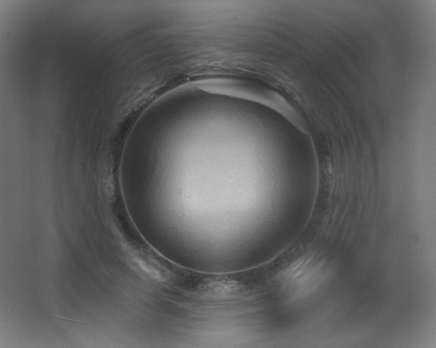 X0000068320642200604211206