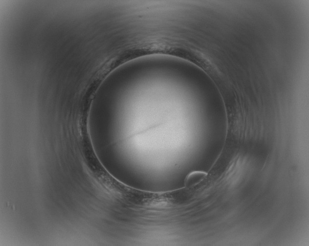 X0000068320643200604211206