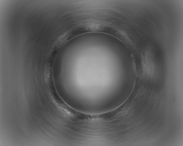 X0000068320645200604211206