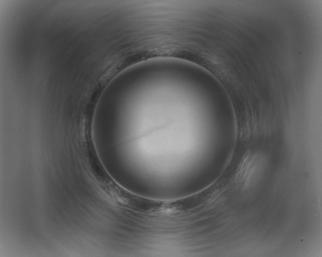 X0000068320647200604211206