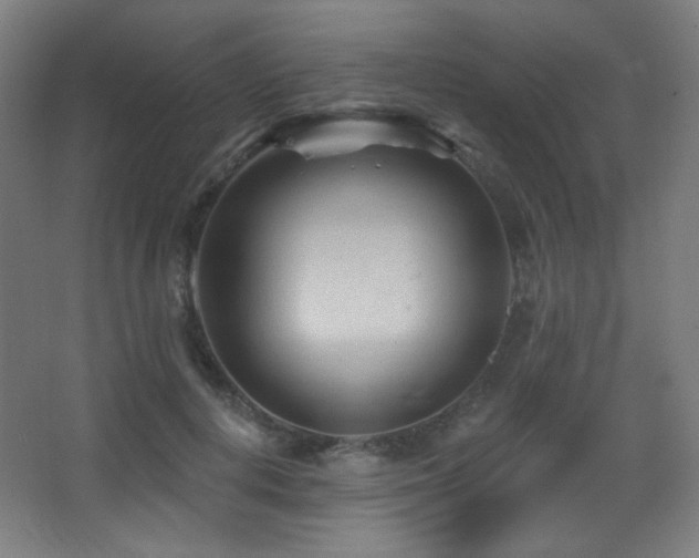 X0000068320648200604211206
