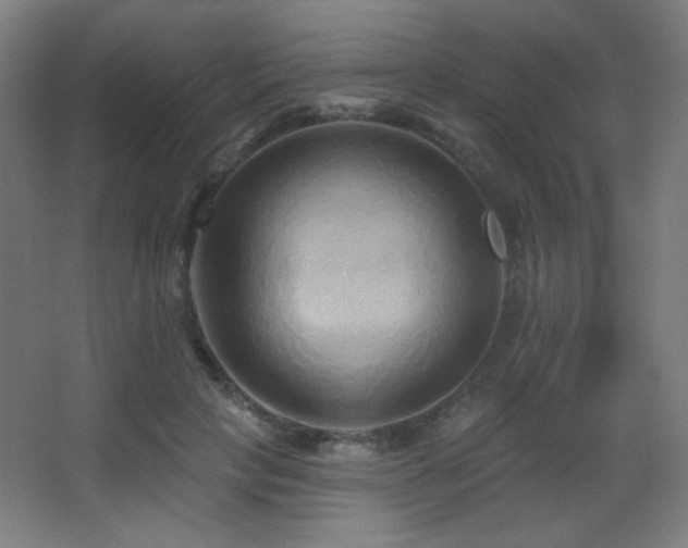 X0000068320649200604211206