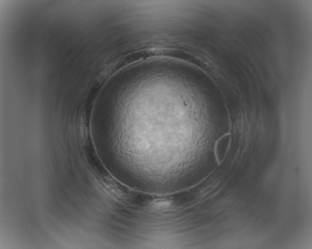 X0000068320651200604211206