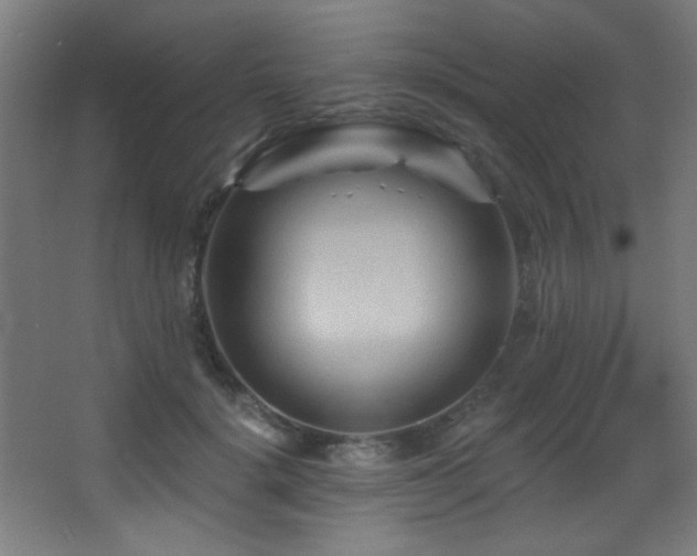 X0000068320652200604211206