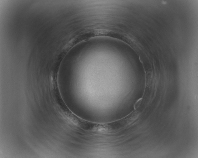 X0000068320655200604211206