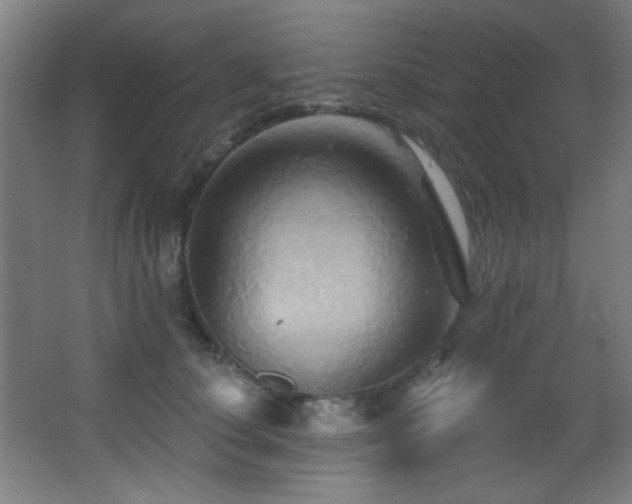 X0000068320660200604211206