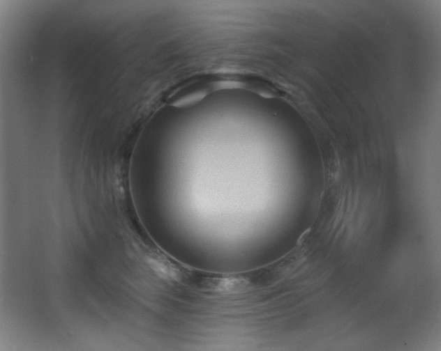 X0000068320663200604211207