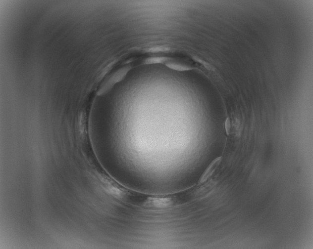 X0000068320665200604211207