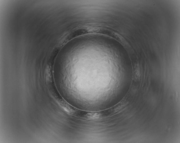 X0000068320667200604211207