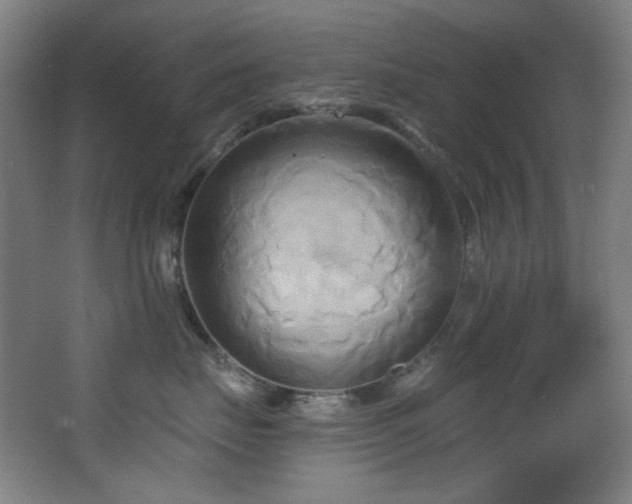 X0000068320671200604211207