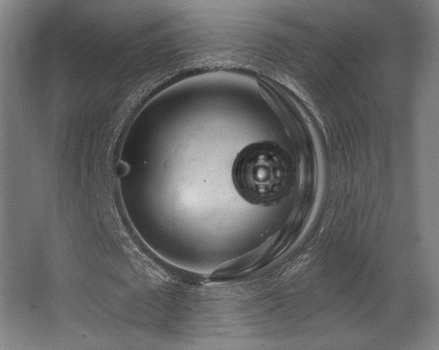 X0000068320673200604211206