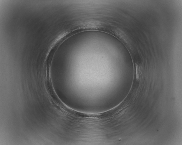 X0000068320675200604211206
