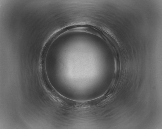 X0000068320676200604211206