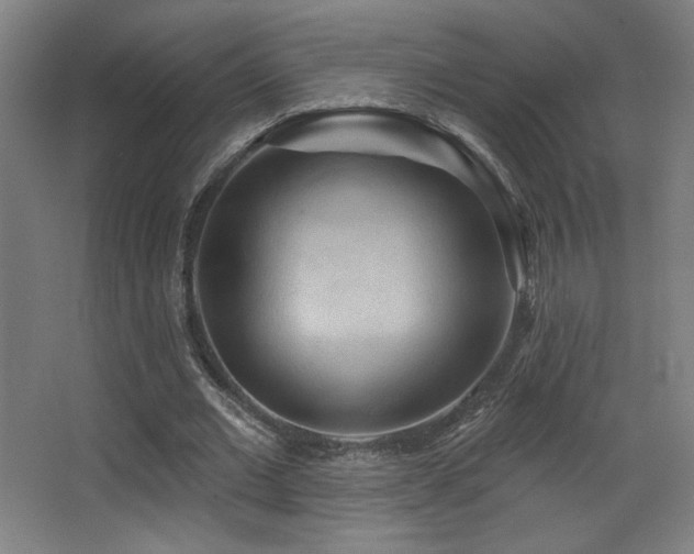 X0000068320677200604211206