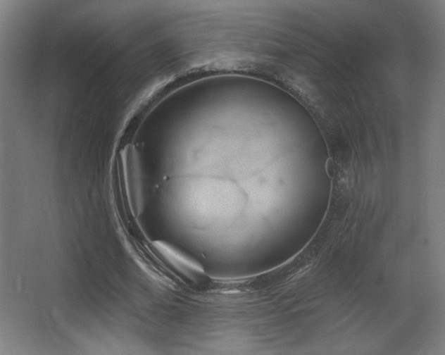 X0000068320678200604211206
