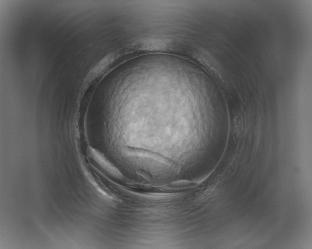 X0000068320682200604211206