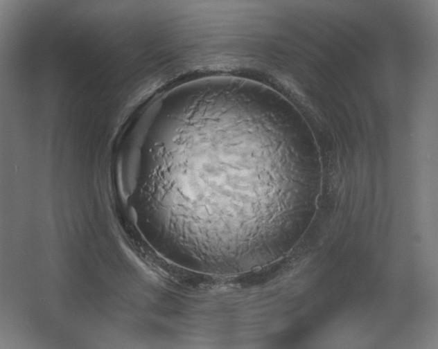 X0000068320683200604211206
