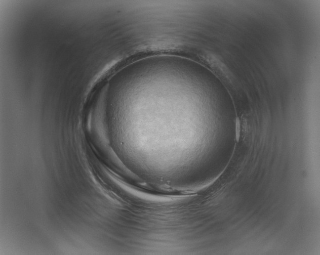 X0000068320684200604211206