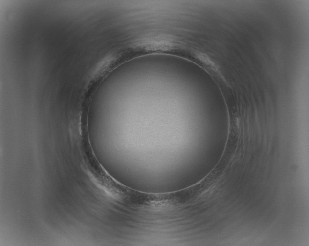 X0000068320686200604211206