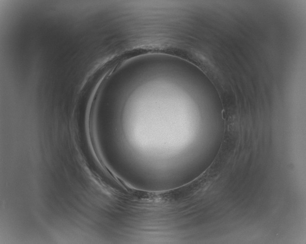 X0000068320688200604211206