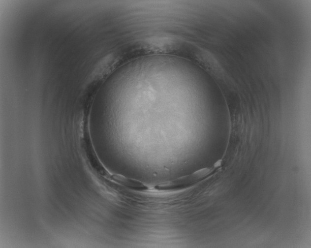 X0000068320694200604211206