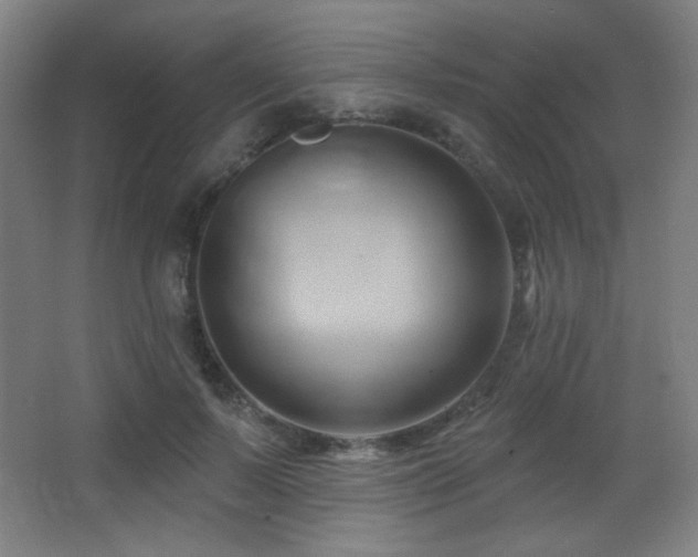 X0000068320695200604211205