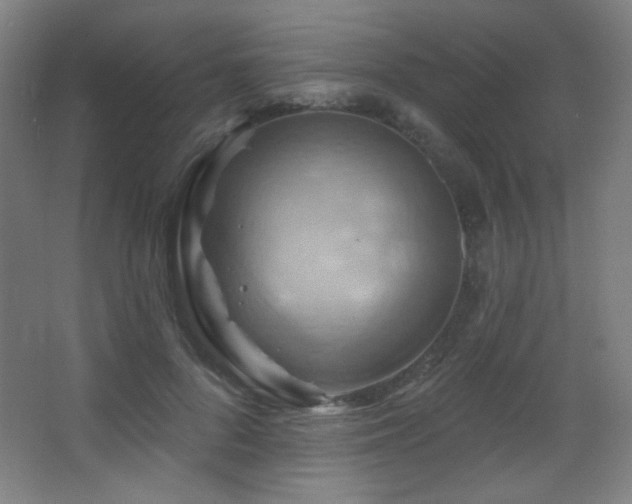 X0000068320696200604211205