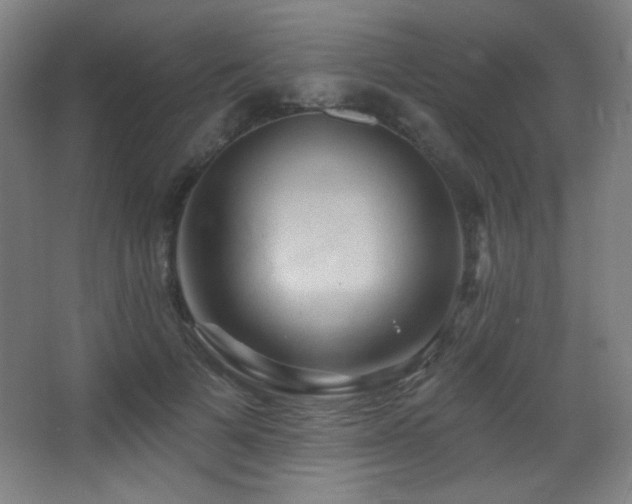 X0000068320697200604211205