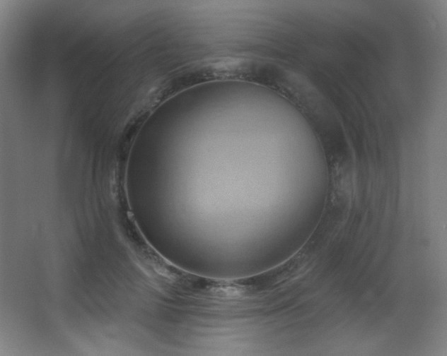 X0000068320698200604211205