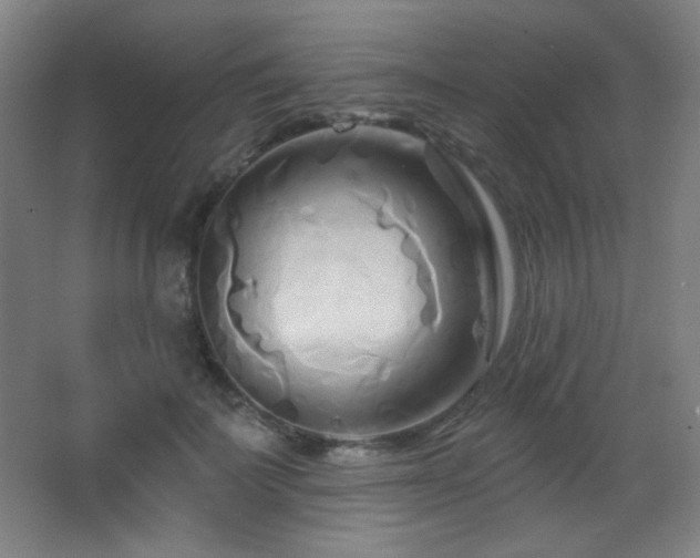 X0000068320699200604211205