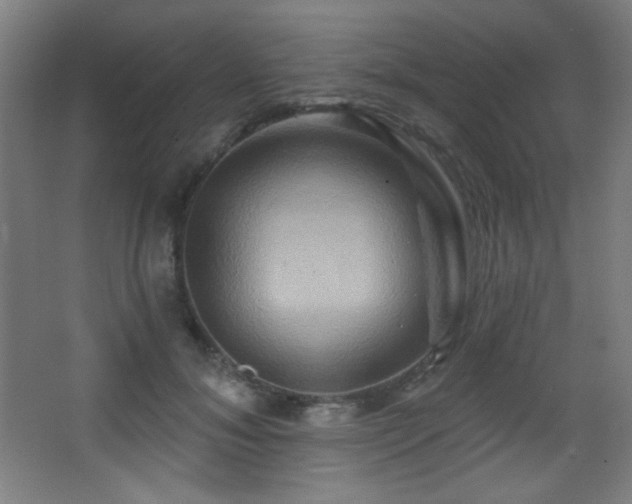 X0000068320700200604211205