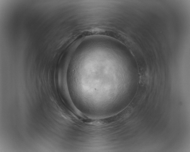 X0000068320704200604211205