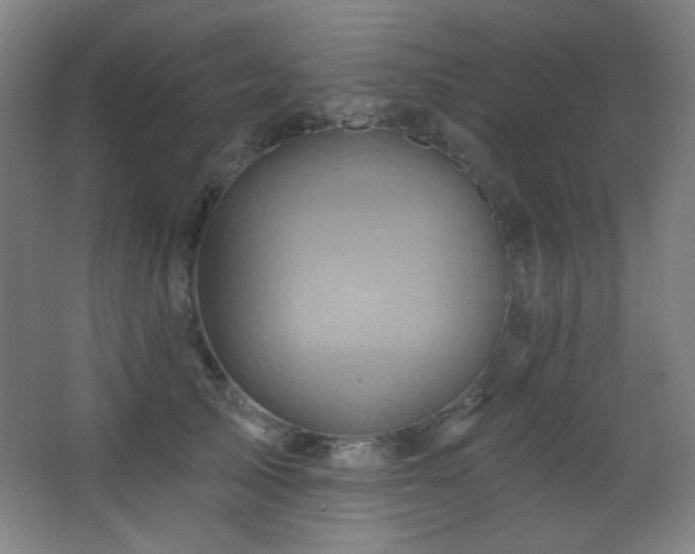 X0000068320705200604211205