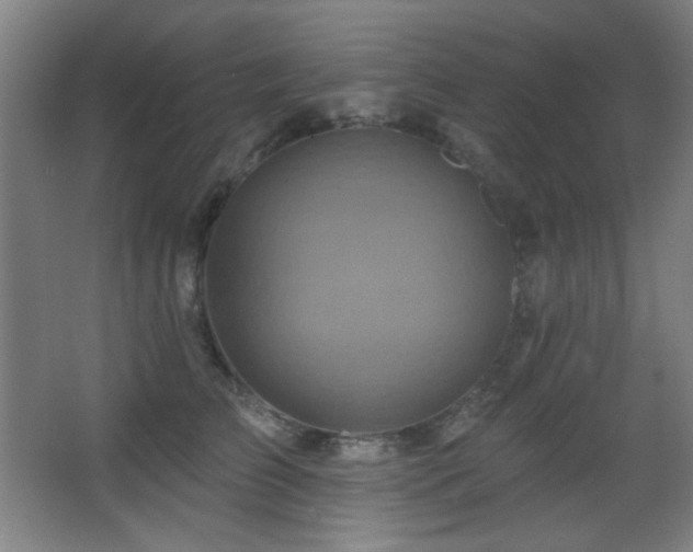 X0000068320709200604211205