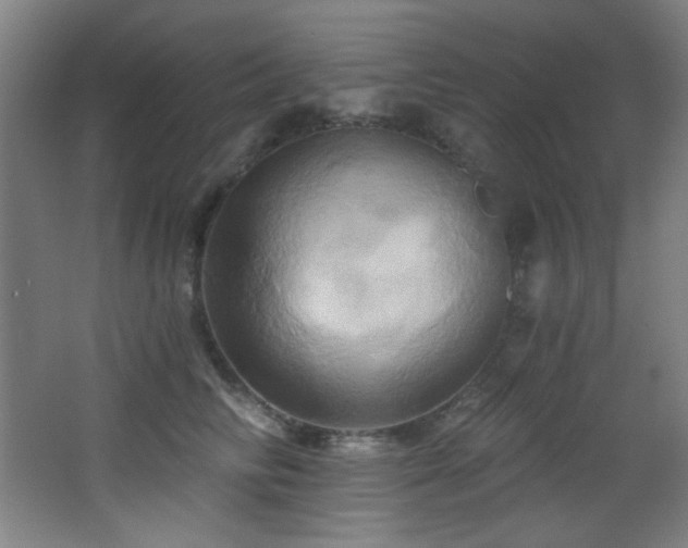 X0000068320710200604211205