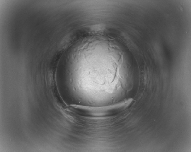 X0000068320711200604211205